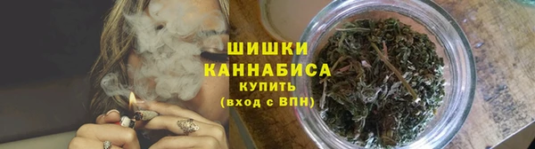 apvp Арсеньев
