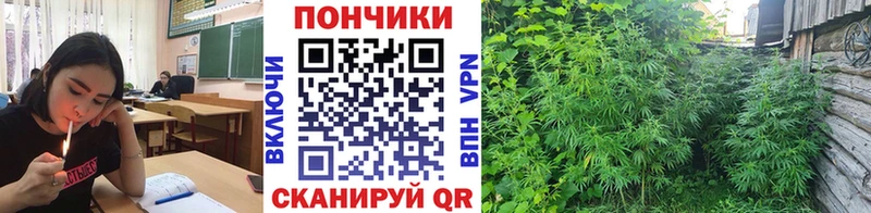 Каннабис MAZAR Учалы